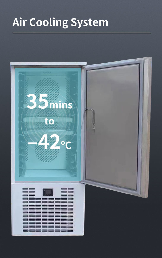 Professional Blast Freezer Chiller Air Cooling Blast Freezer Equipment 10 ถาด 6